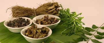 Itoozhi Ayurveda Management Team
