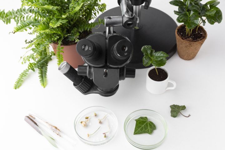 Ayurveda and modern science for Alzheimers